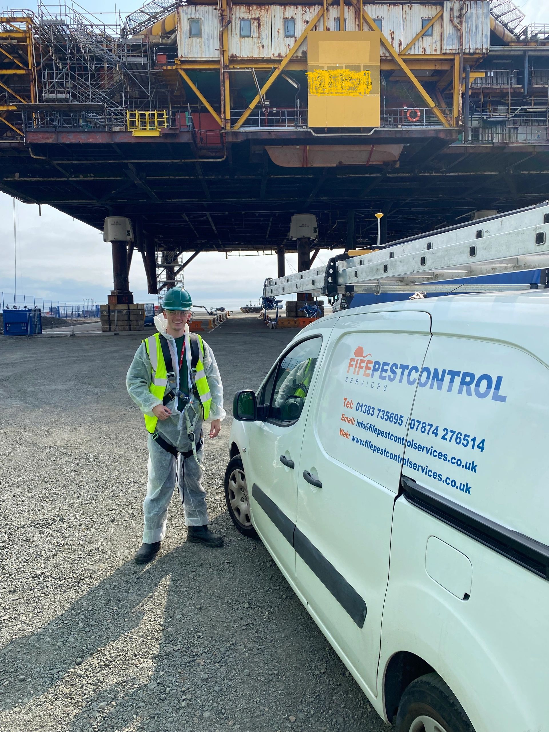 Pest Control Fife, Wasp Nest Removal Fife, Fife Council Trusted Pest